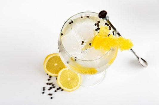 Gin And Tonic Food Pairings You Will Love