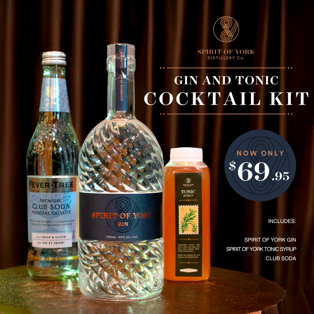 GIN AND TONIC COCKTAIL KIT